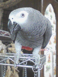 c0076490_22284161.jpg