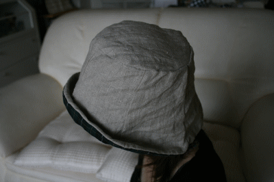 d0100192_20374977.gif