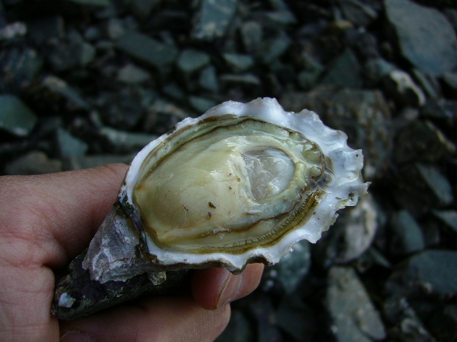 e0122193_830048.jpg