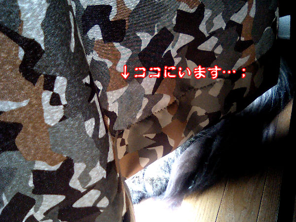 e0019594_2148671.jpg