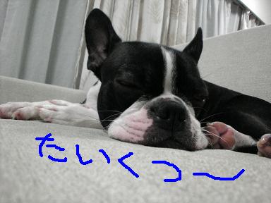 c0092097_12282121.jpg