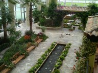c0011801_5584654.jpg