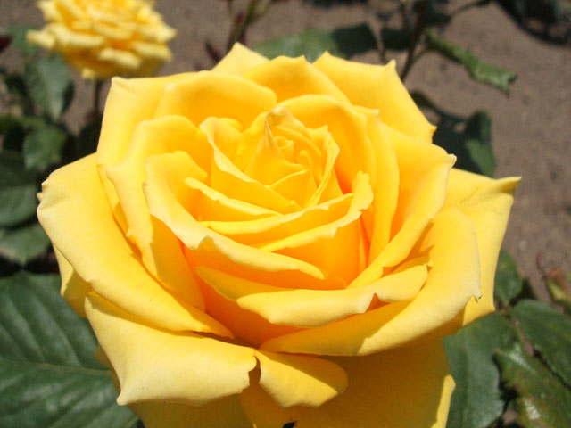 e0117805_15451740.jpg