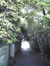 c0111310_1361878.jpg
