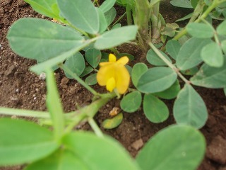 e0121110_14435761.jpg