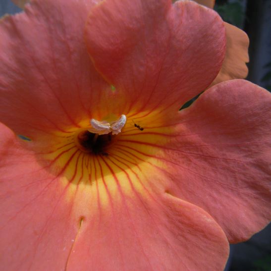 c0026612_15231461.jpg