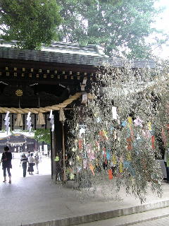 a0042313_16272.jpg