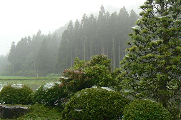 c0086014_20531053.jpg