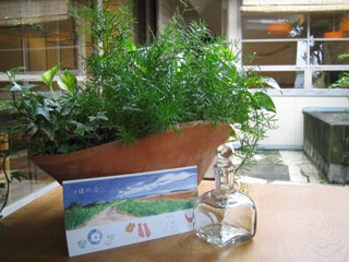c0103119_1405242.jpg