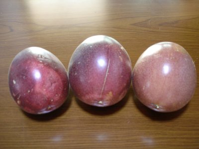 e0003819_23291297.jpg