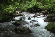 a0097823_22215113.gif
