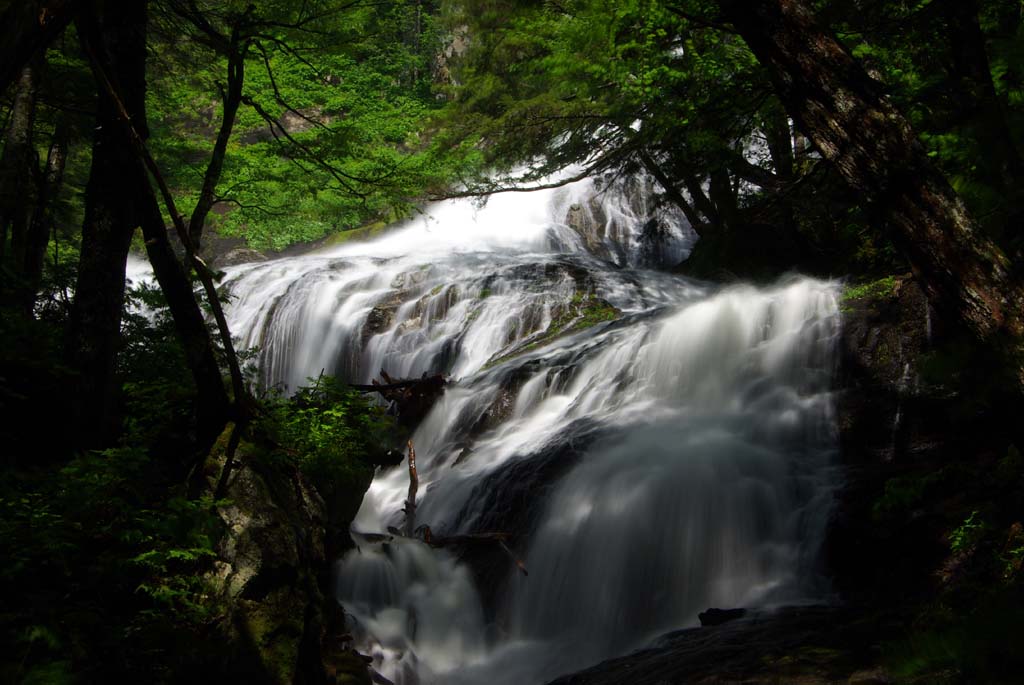 b0062024_20521029.jpg