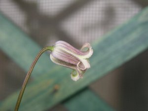 b0031925_10113735.jpg