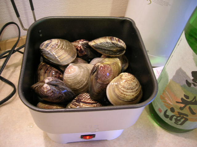 f0051125_1845126.jpg