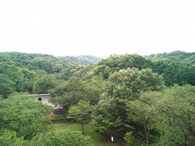 c0031126_20582540.jpg