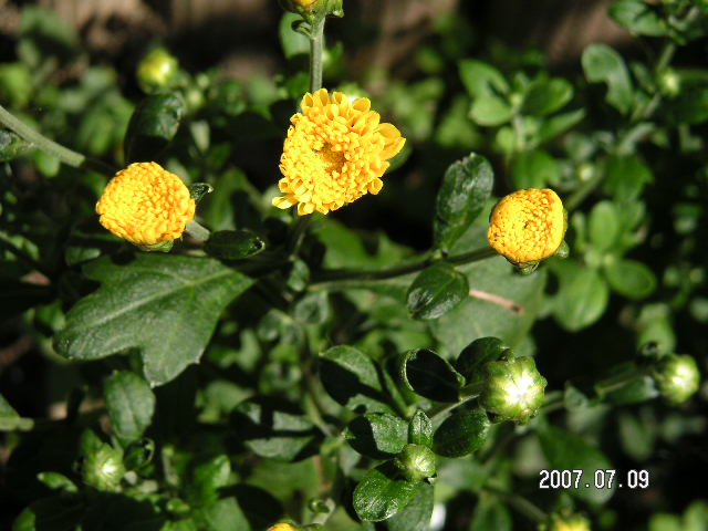 a0020929_161078.jpg