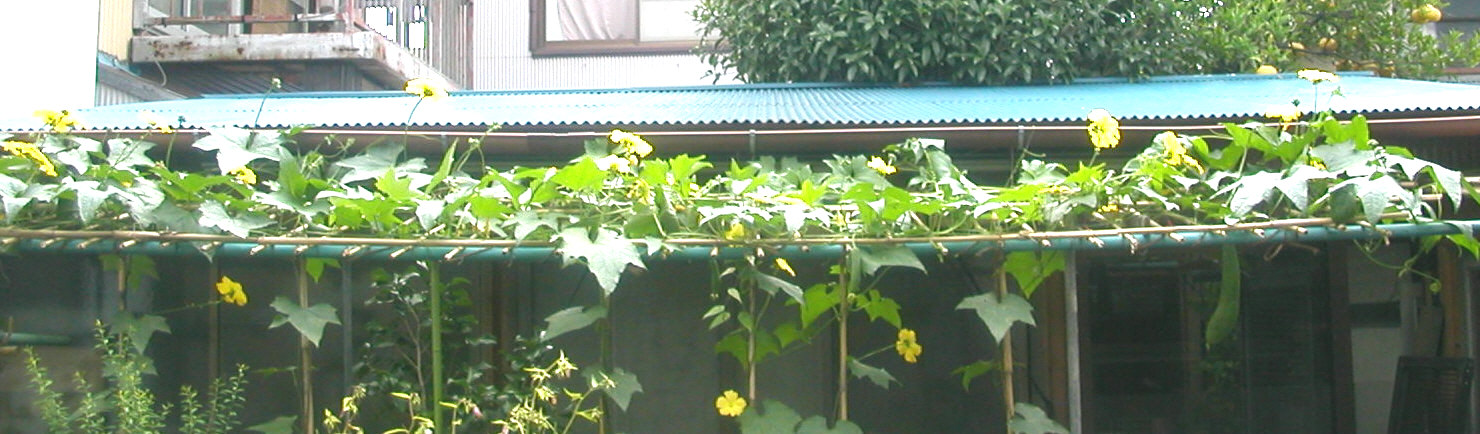 e0033229_22141772.jpg