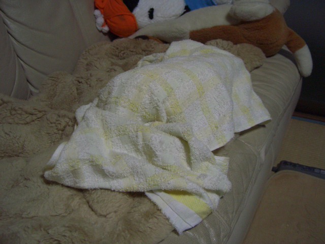 e0107730_23493725.jpg