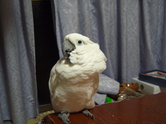 e0107730_23553660.jpg