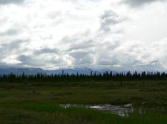 f0118332_911688.jpg
