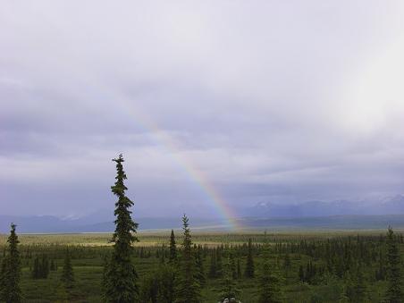 f0118332_9263473.jpg