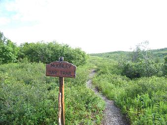 f0118332_972728.jpg