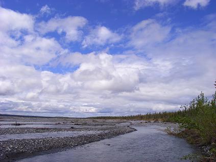 f0118332_981167.jpg