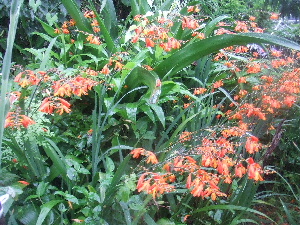 a0054240_15134589.jpg
