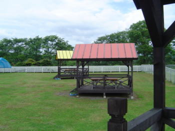 b0001440_1163934.jpg