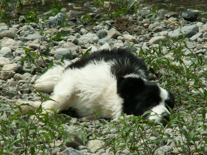 d0077740_001889.jpg