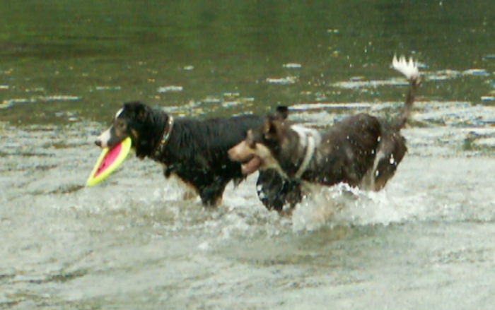 d0077740_23582887.jpg