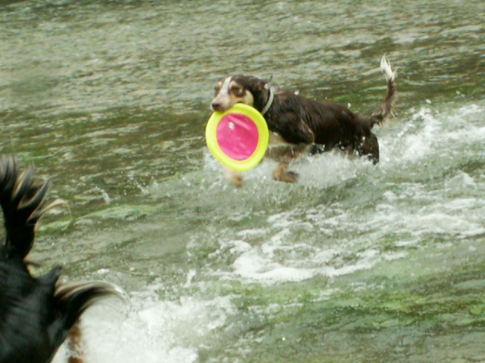 d0077740_23585786.jpg