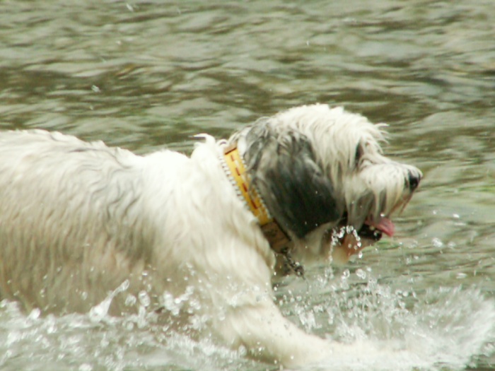 d0077740_23594026.jpg