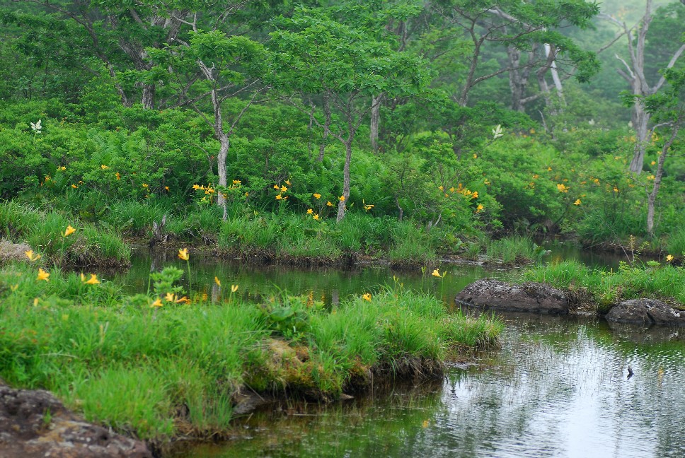 e0009147_18104514.jpg
