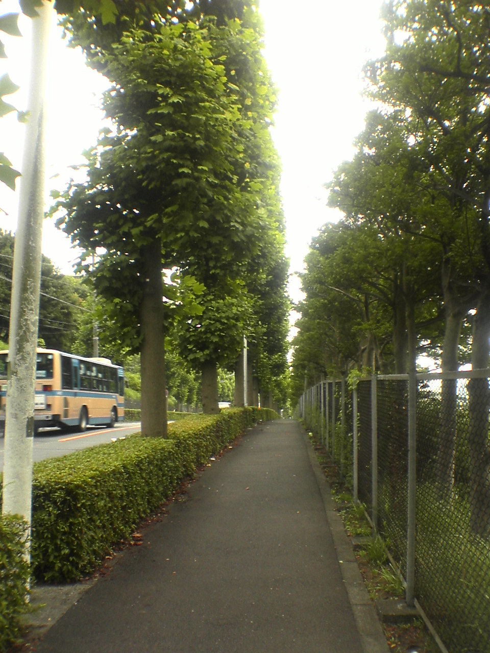 e0119851_22564398.jpg
