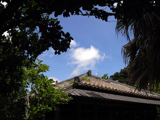 b0049152_1758290.jpg