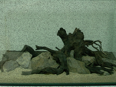 d0095960_1412399.jpg