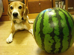 e0007060_21145985.jpg