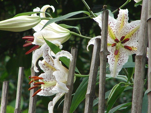 b0061261_9125940.jpg