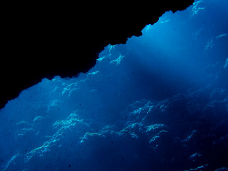 b0062363_1402062.jpg
