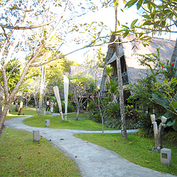 e0038669_15453978.jpg