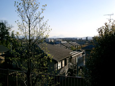 c0112172_4561495.jpg
