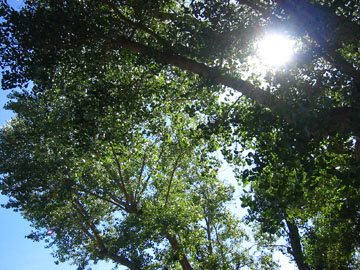 f0068883_1130176.jpg