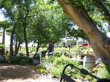 f0068883_11311763.jpg