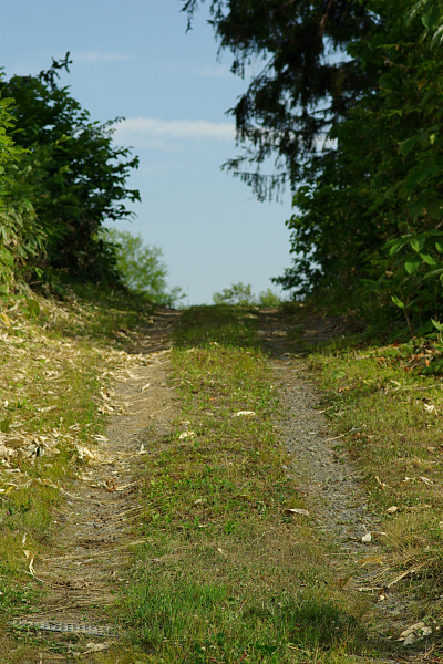e0051186_2050787.jpg