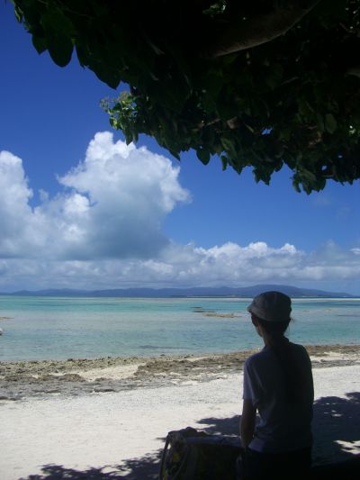 e0066495_129552.jpg