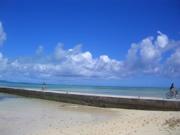 e0066495_1442485.jpg