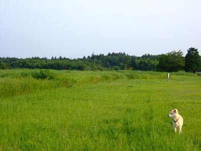 f0001698_0523992.jpg