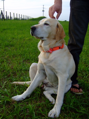 f0001698_1143814.jpg