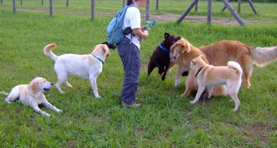 f0001698_121663.jpg